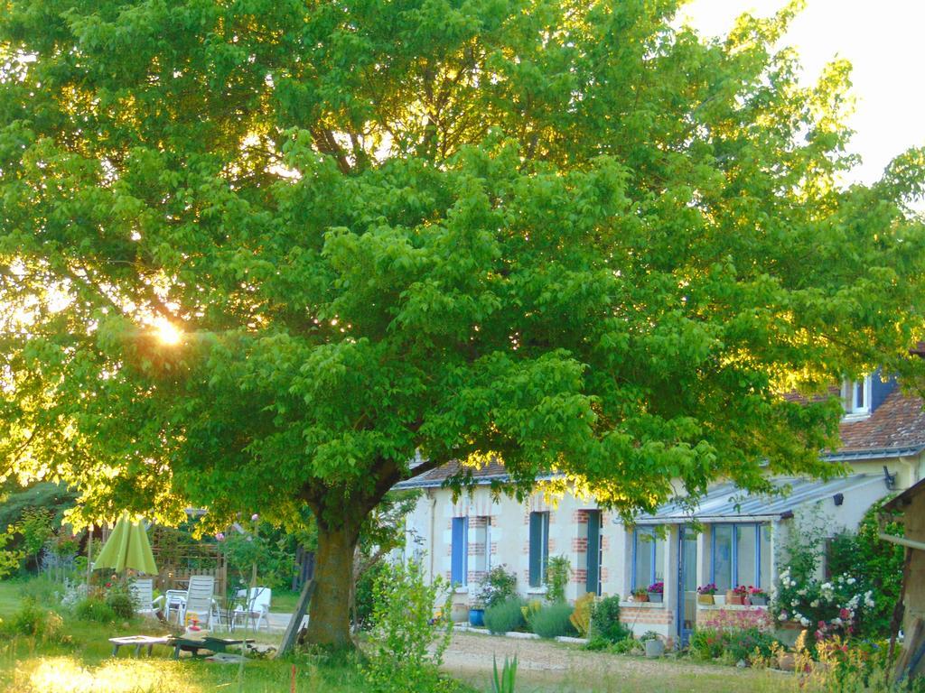 Reugny La Ferme Aux Oies Bed & Breakfast エクステリア 写真