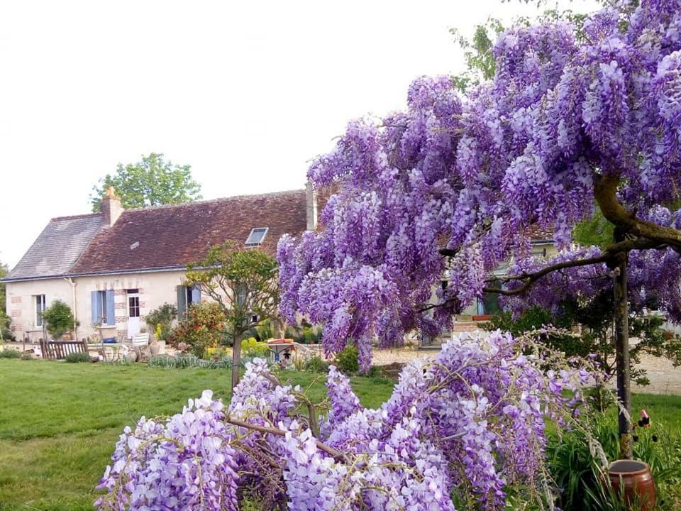 Reugny La Ferme Aux Oies Bed & Breakfast エクステリア 写真